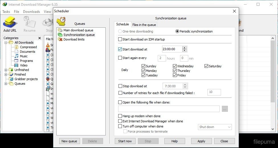 Internet Download Manager 6.42.63 free Download